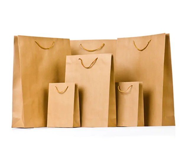 Sunt typis summus finem nativus charta sacculos in futurum de Eco-amica packaging?